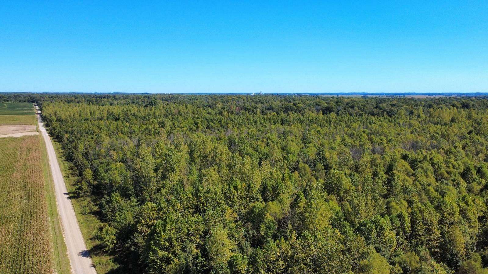 115 Acres of Recreational Land & Farm for Sale in Fairfield, Illinois