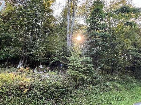 9.49 Acres of Land for Sale in Tallmansville, West Virginia