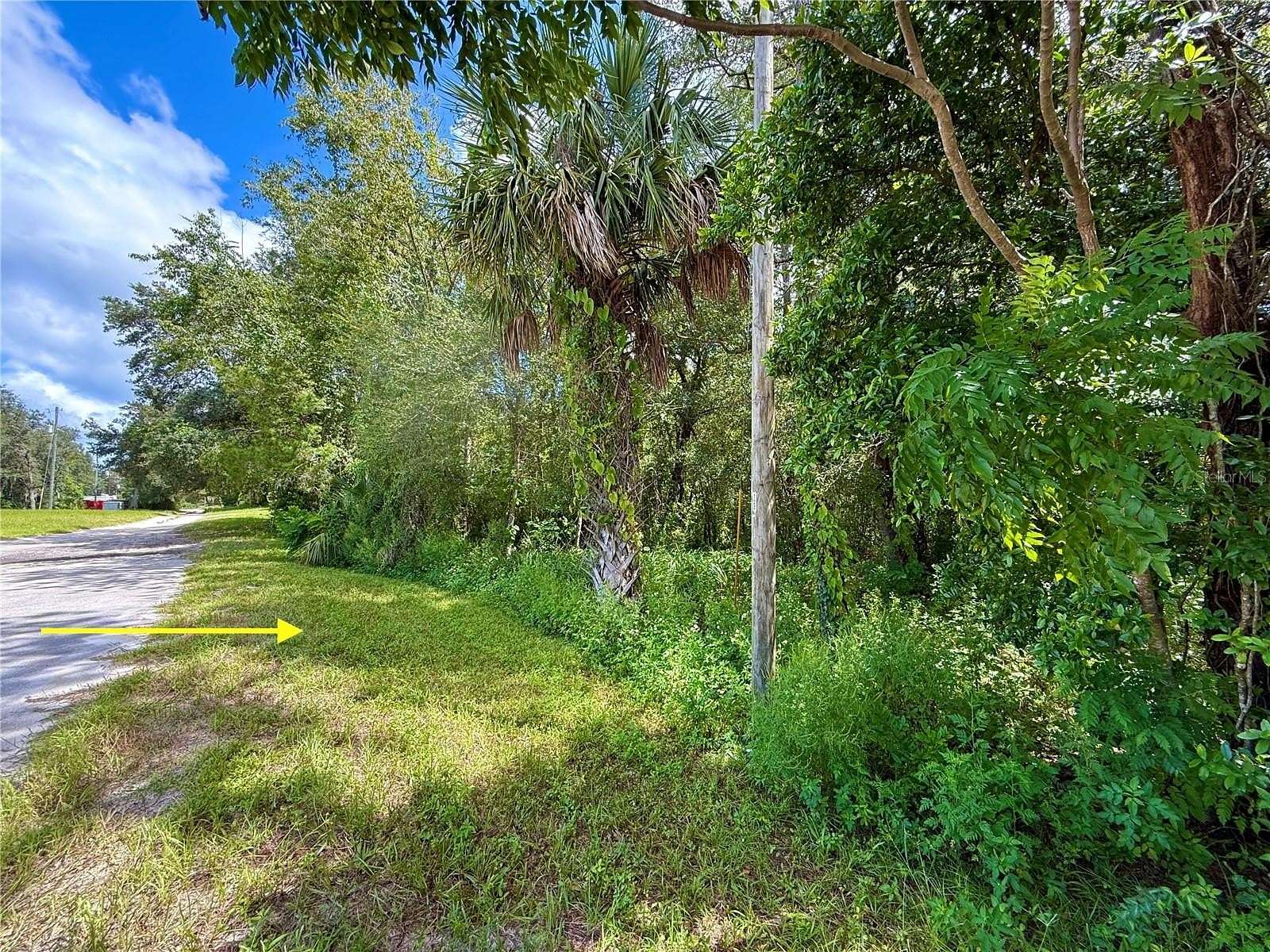 0.39 Acres of Land for Sale in Eustis, Florida