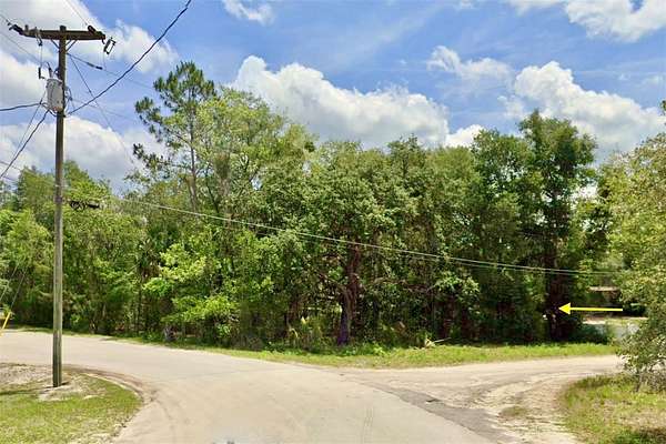 0.39 Acres of Land for Sale in Eustis, Florida