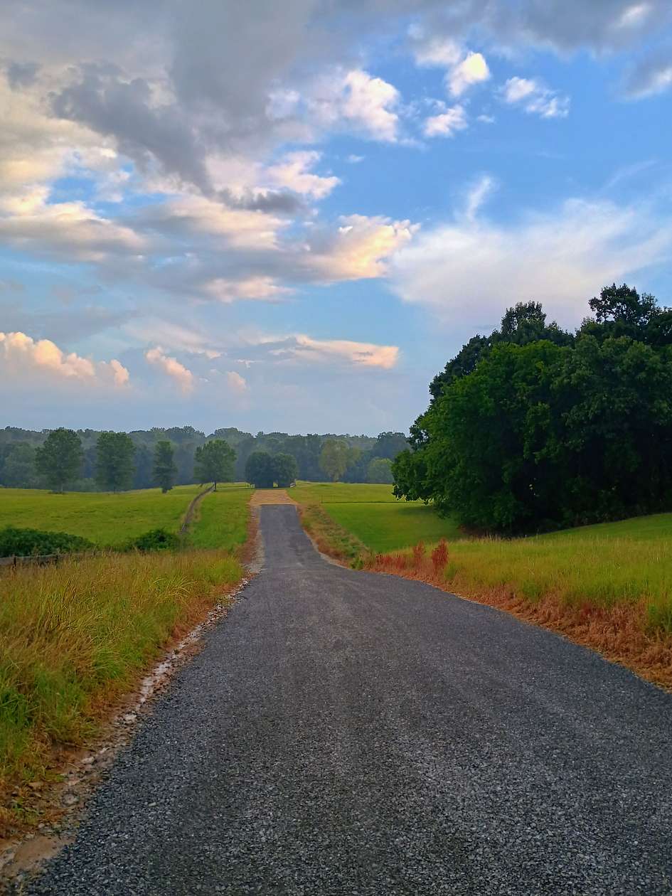 15 Acres of Land for Sale in Greenbrier, Tennessee