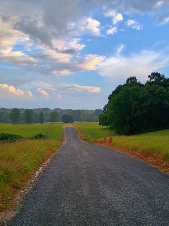 15 Acres of Land for Sale in Greenbrier, Tennessee