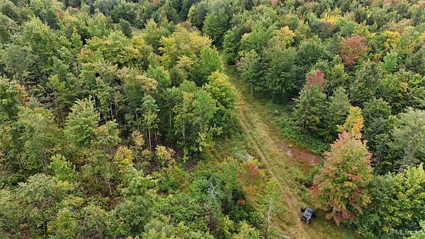 240 Acres of Recreational Land for Sale in Ontonagon, Michigan