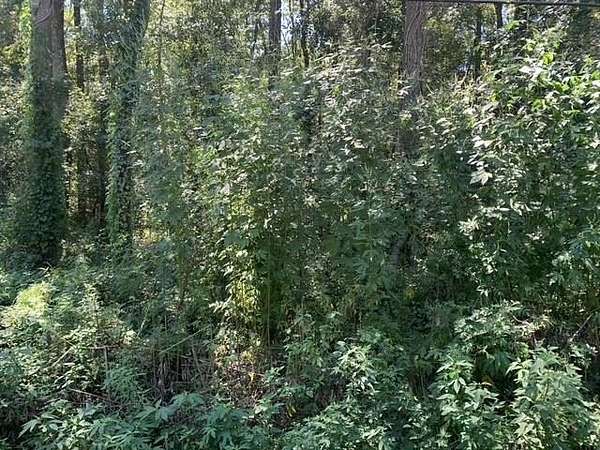 5.27 Acres of Residential Land for Sale in Tallahassee, Florida