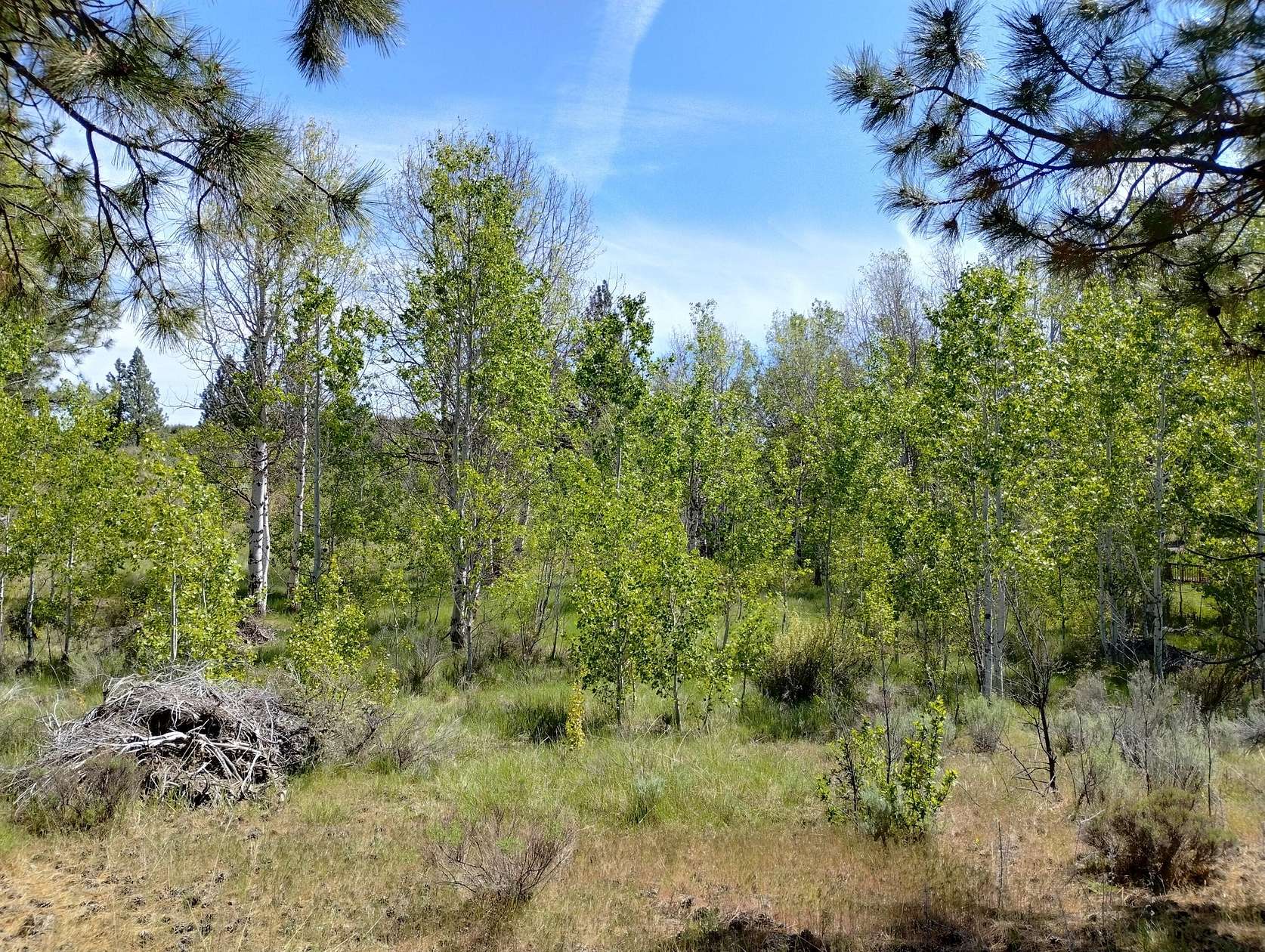 1 Acre of Residential Land for Sale in Chiloquin, Oregon