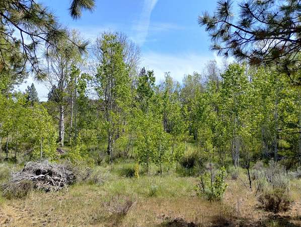 1 Acre of Residential Land for Sale in Chiloquin, Oregon
