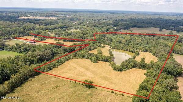 42 Acres of Recreational Land & Farm for Sale in Red Banks, Mississippi
