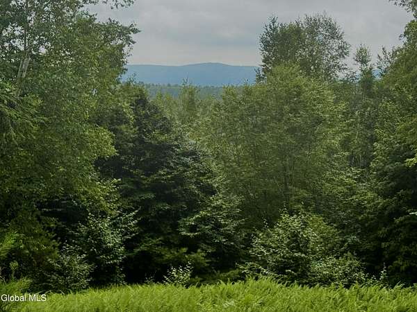 52 Acres of Recreational Land for Sale in Stephentown, New York