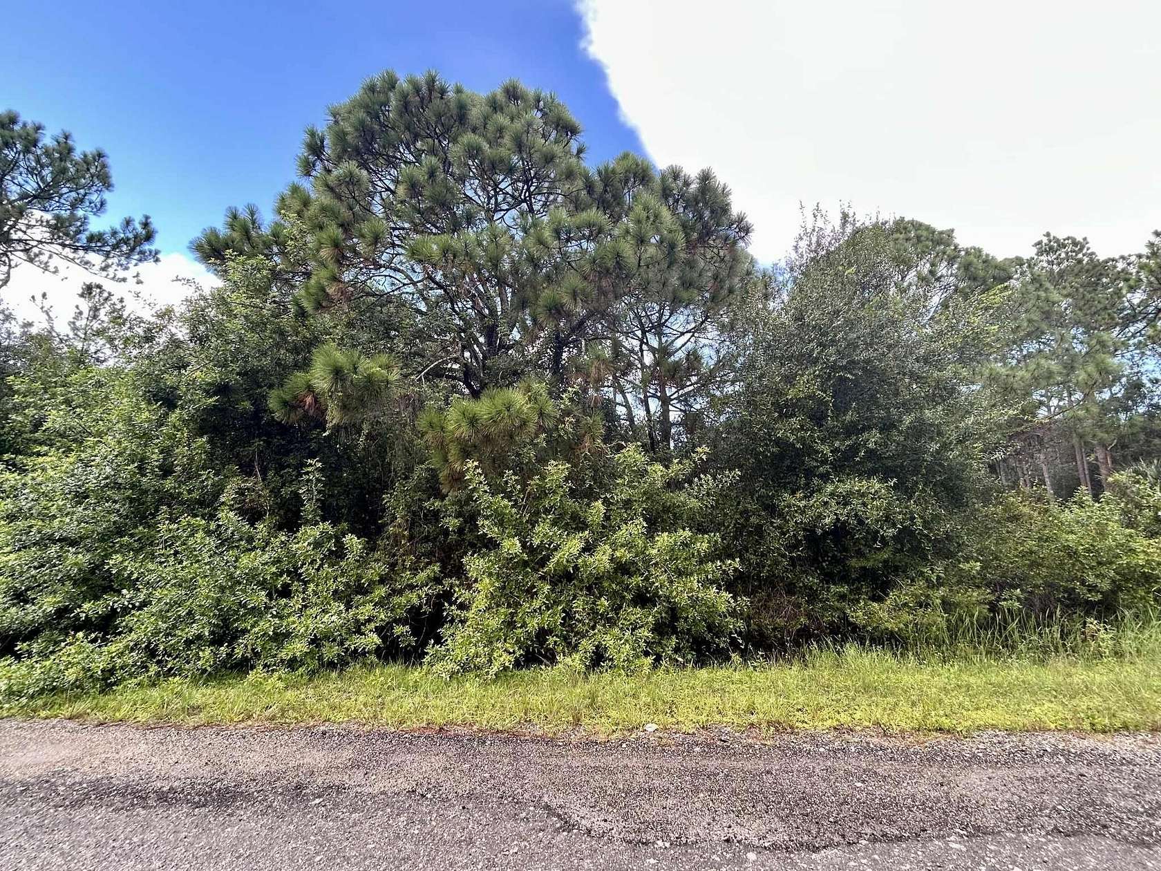 1.25 Acres of Residential Land for Sale in Clewiston, Florida