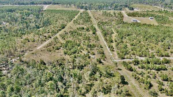 30.9 Acres of Recreational Land & Farm for Sale in Hazlehurst, Georgia