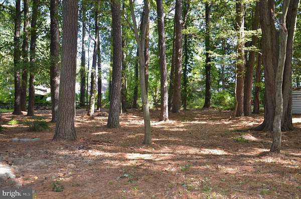 0.25 Acres of Residential Land for Sale in St. Michaels, Maryland