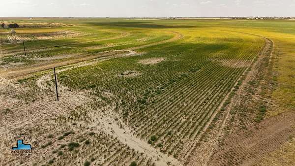 2.5 Acres of Residential Land for Sale in Smyer, Texas