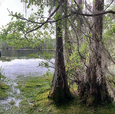 40 Acres of Recreational Land for Sale in Lee, Florida