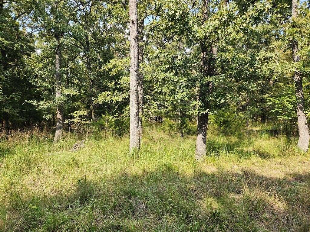 0.48 Acres of Residential Land for Sale in Quinlan, Texas