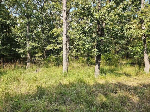 0.48 Acres of Residential Land for Sale in Quinlan, Texas