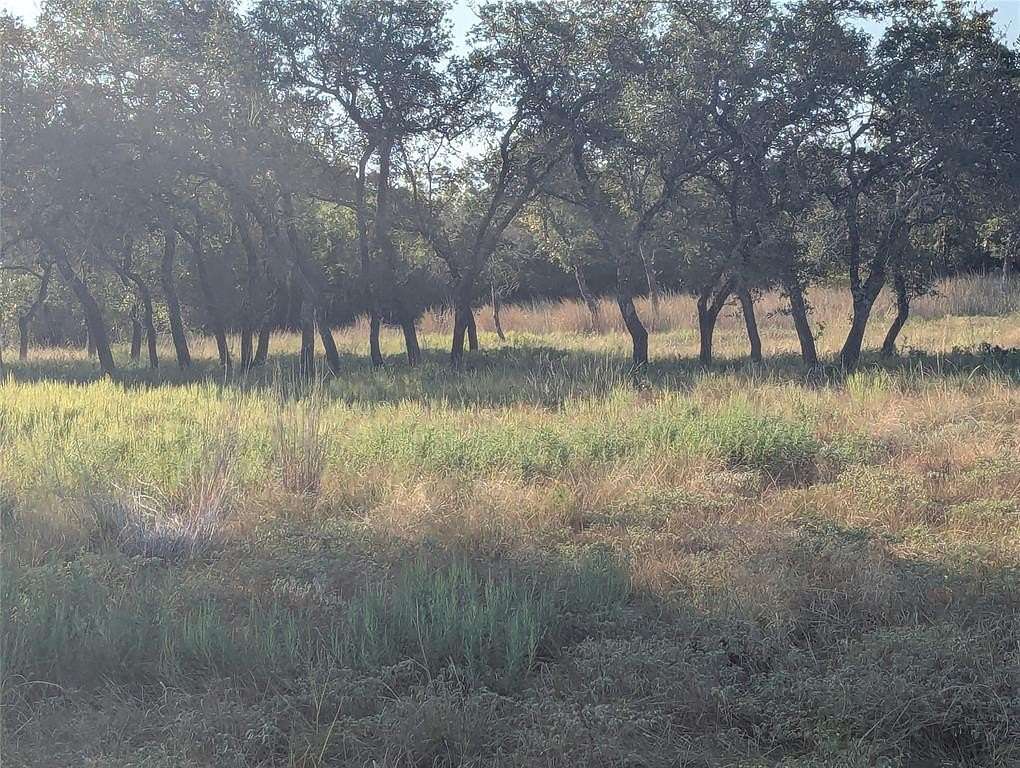 10 Acres of Recreational Land for Sale in Indian Gap, Texas