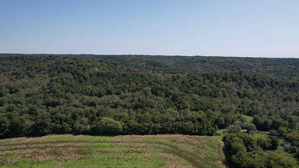 104 Acres of Land for Sale in Dellrose, Tennessee