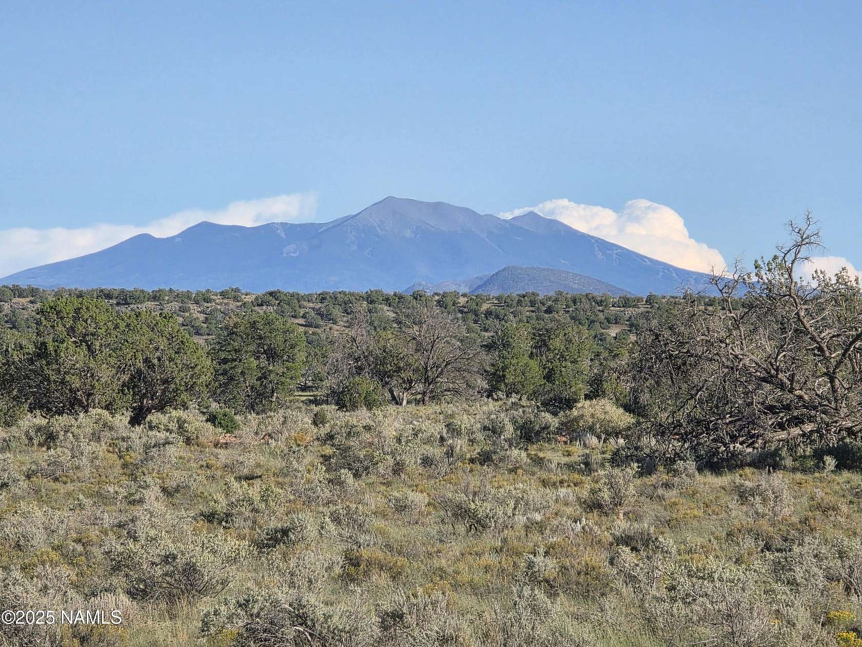 36 Acres of Recreational Land for Sale in Williams, Arizona