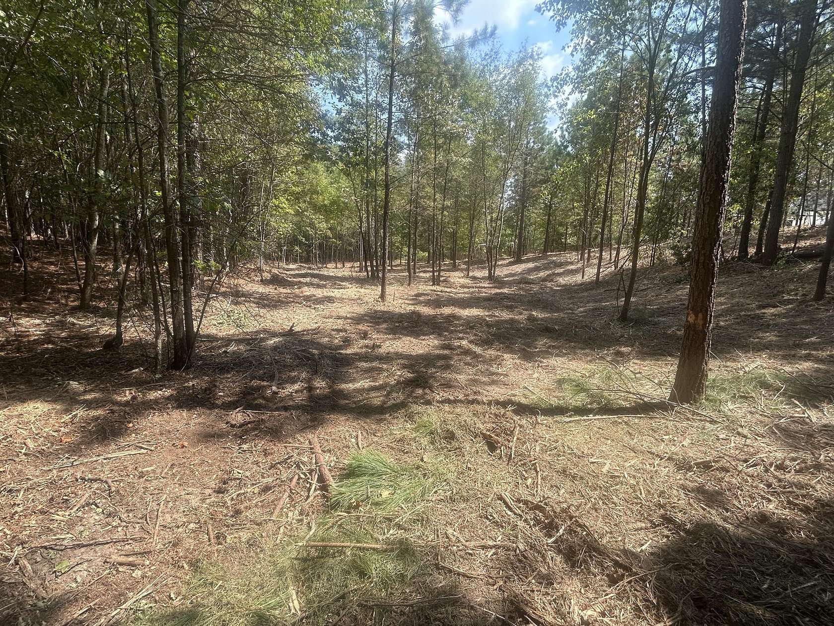 1.69 Acres of Residential Land for Sale in Cohutta, Georgia