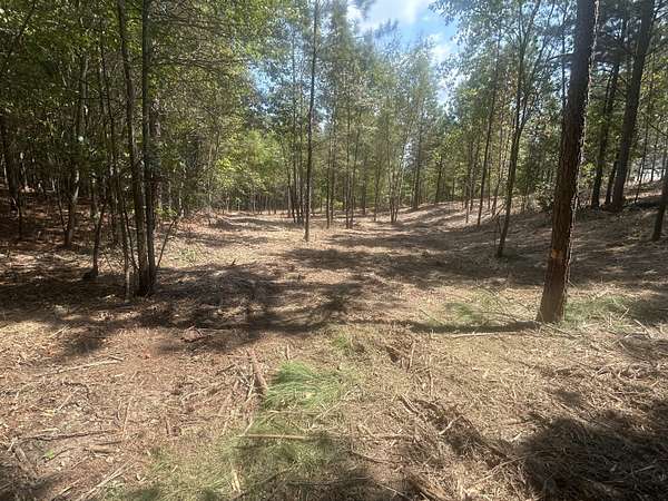 1.69 Acres of Residential Land for Sale in Cohutta, Georgia