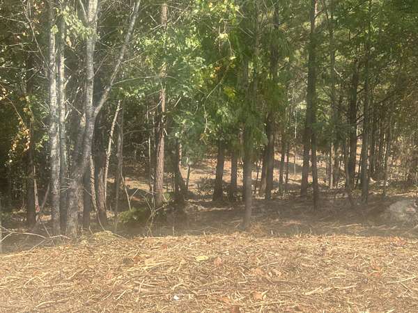 1.4 Acres of Residential Land for Sale in Cohutta, Georgia