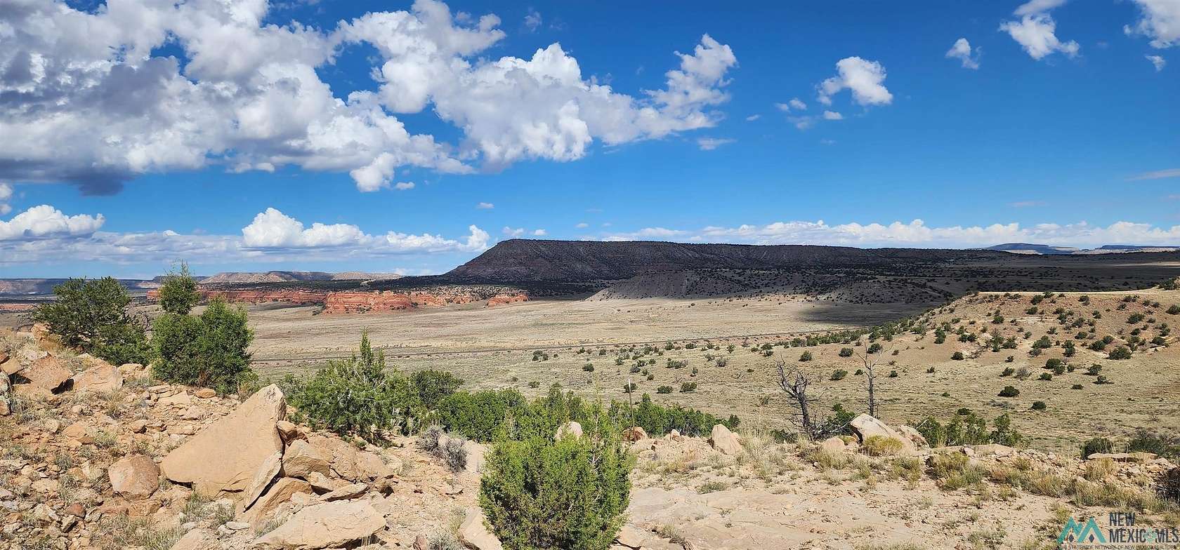 147 Acres of Recreational Land & Farm for Sale in Prewitt, New Mexico