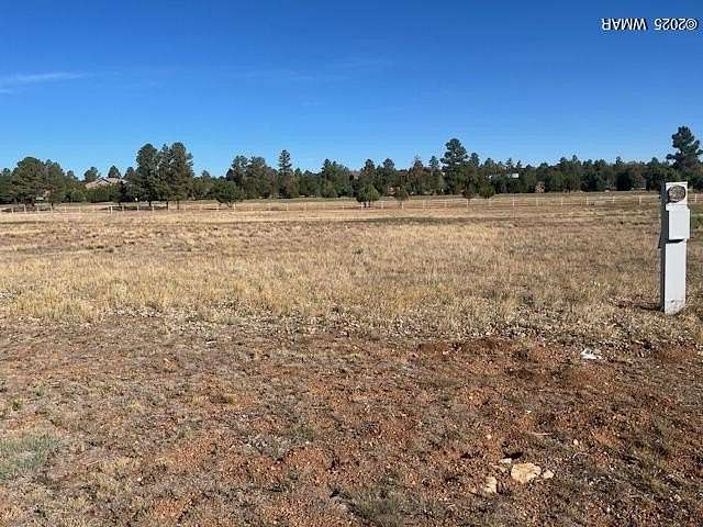 1.76 Acres of Mixed-Use Land for Sale in Overgaard, Arizona