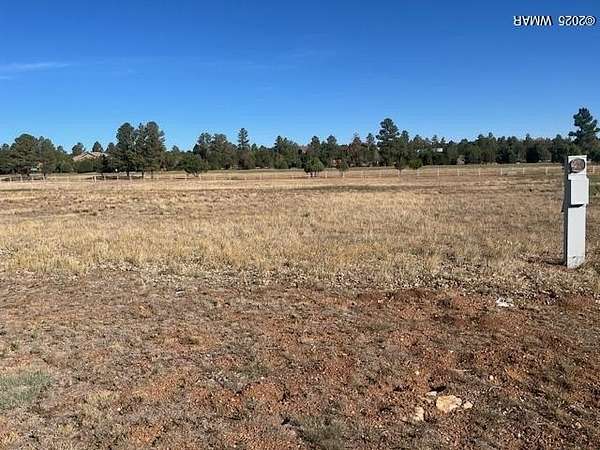 1.76 Acres of Mixed-Use Land for Sale in Overgaard, Arizona