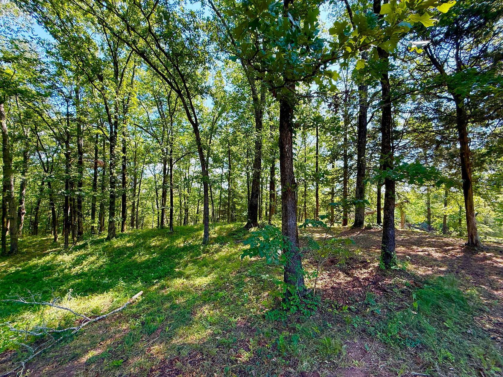 15 Acres of Land for Sale in Brierfield, Alabama