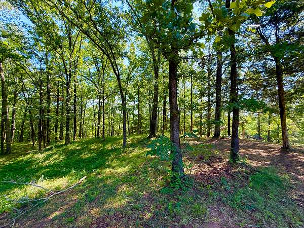 15 Acres of Land for Sale in Brierfield, Alabama