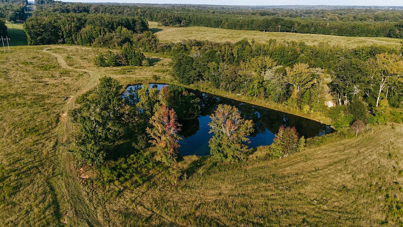 261 Acres of Agricultural Land for Sale in Grantville, Georgia