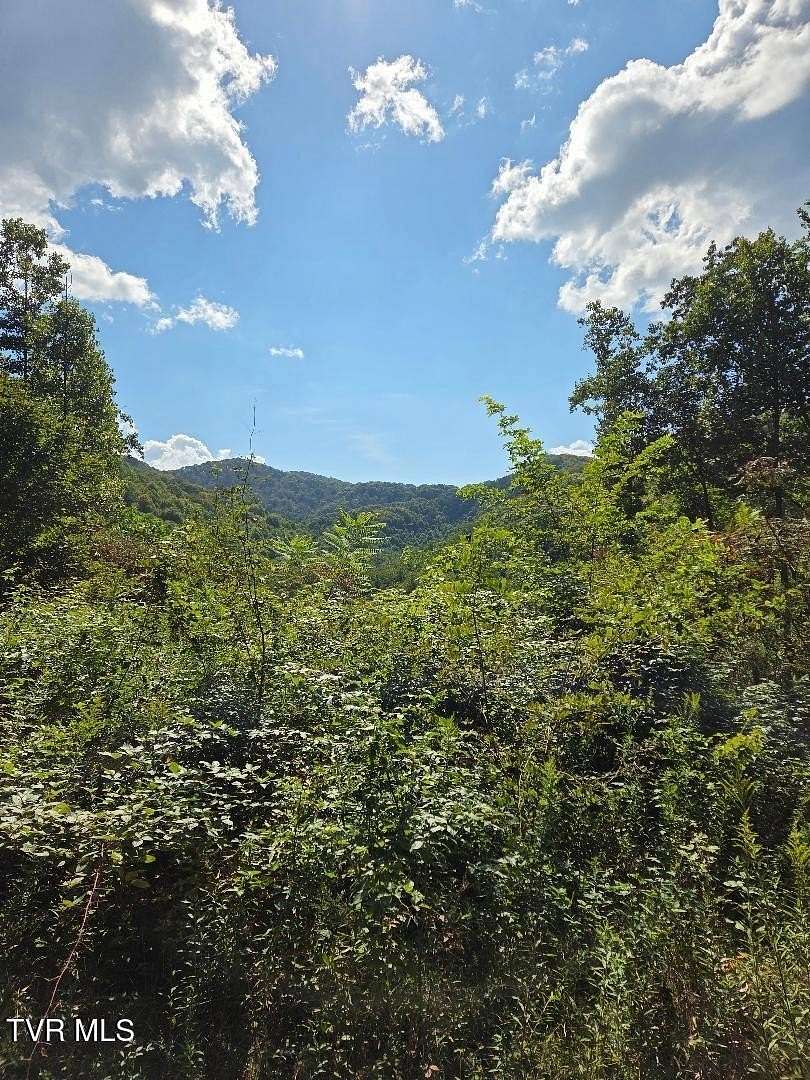 9.6 Acres of Land for Sale in Roan Mountain, Tennessee