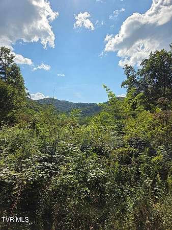 9.6 Acres of Land for Sale in Roan Mountain, Tennessee