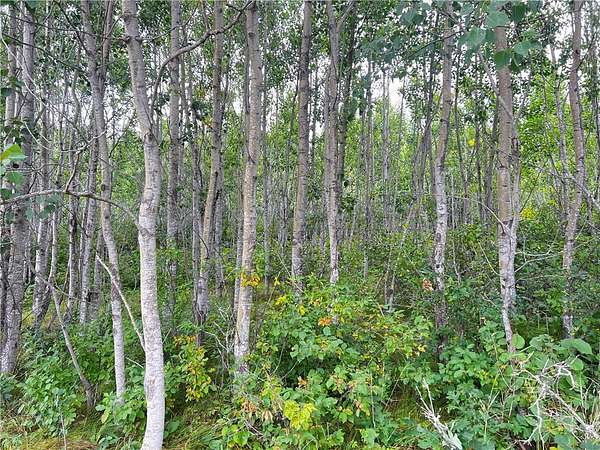 1.88 Acres of Land for Sale in Wascott, Wisconsin