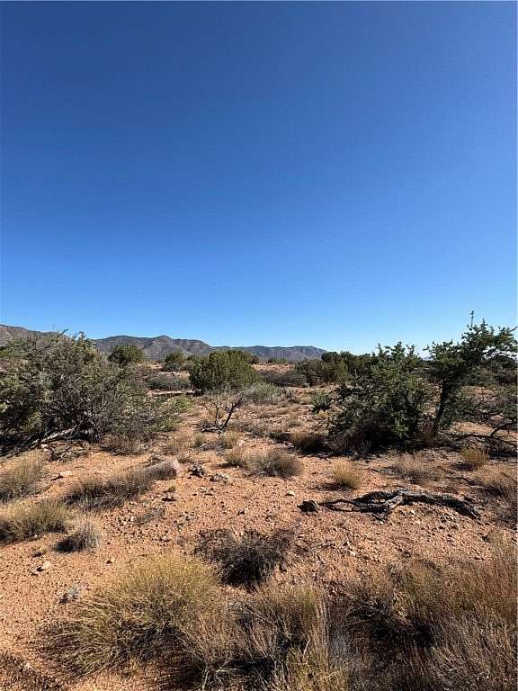 5 Acres of Residential Land for Sale in Hackberry, Arizona