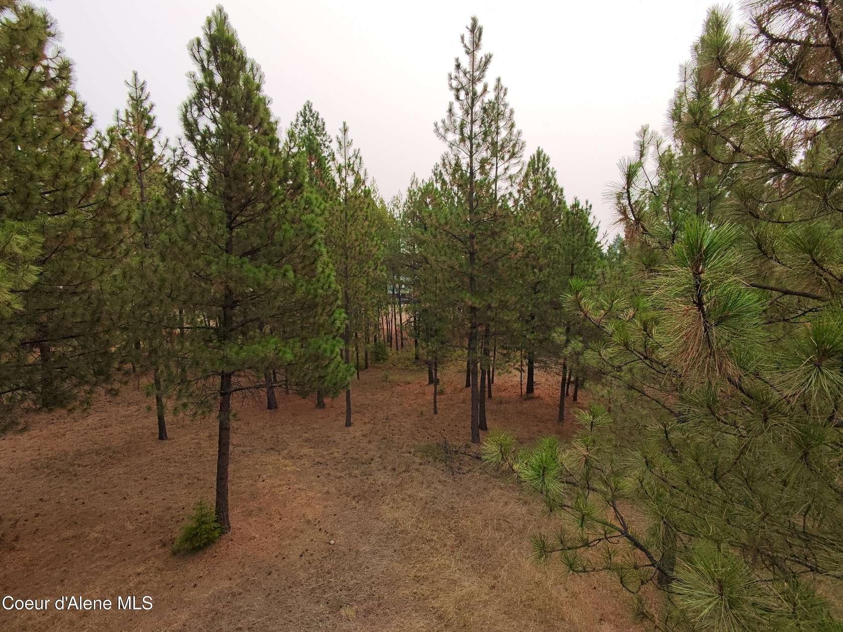 1 Acre of Residential Land for Sale in Spirit Lake, Idaho