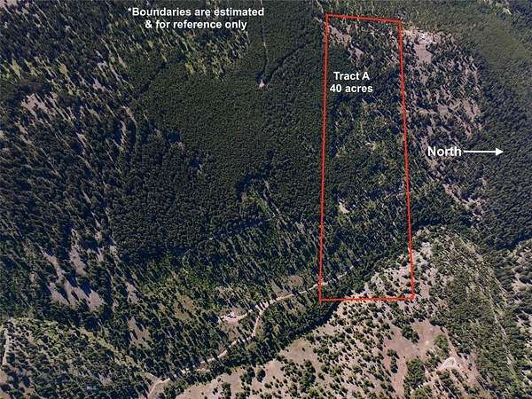 40 Acres of Recreational Land for Sale in Helmville, Montana