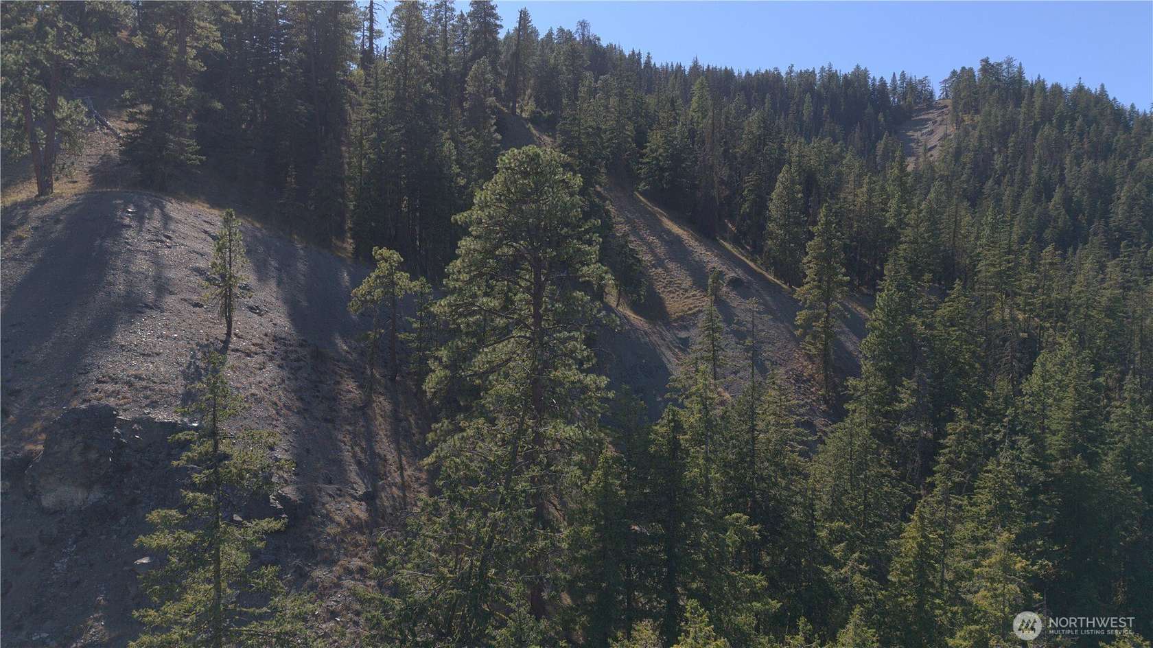 15 Acres of Recreational Land for Sale in Peshastin, Washington