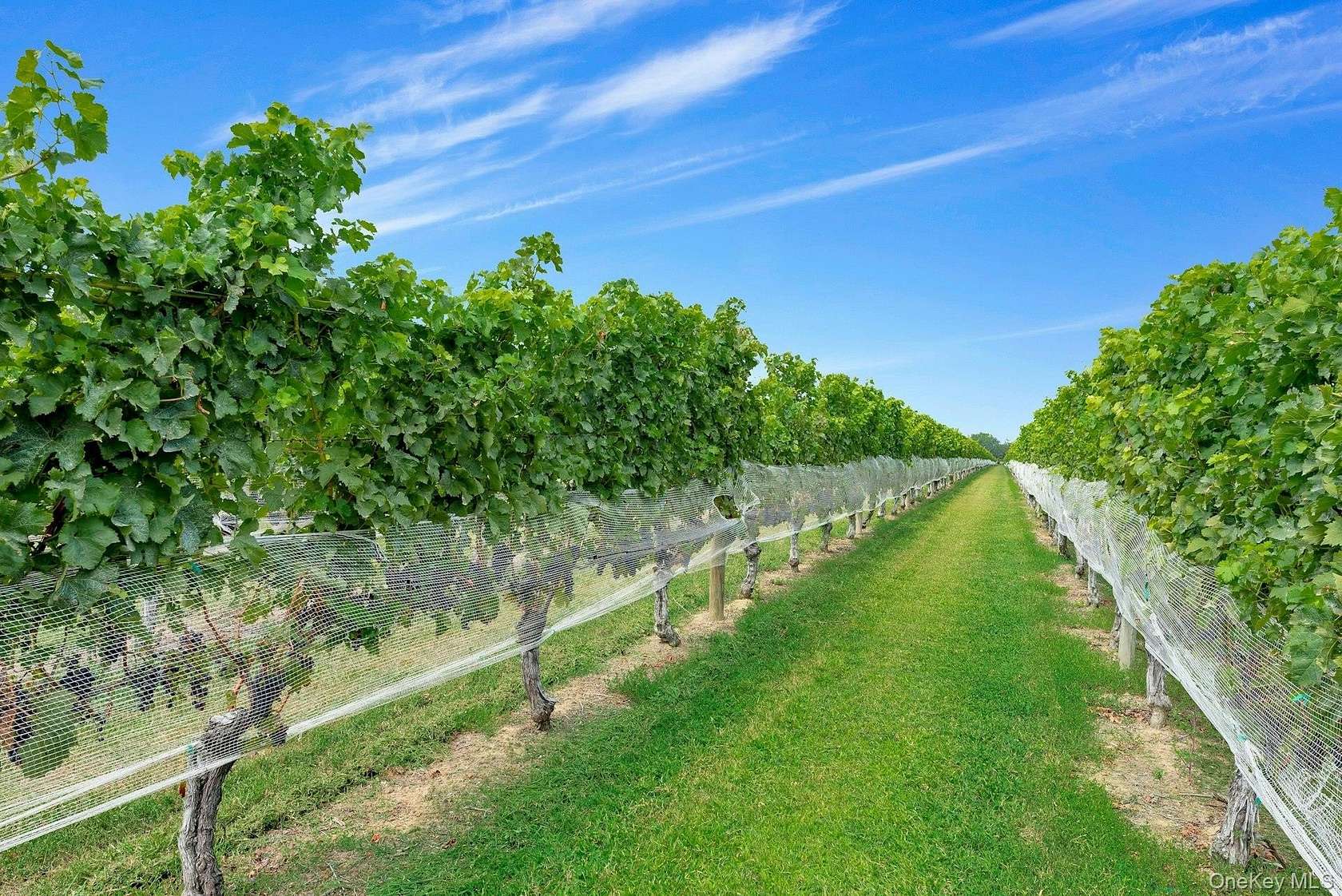 51 Acres of Agricultural Land for Sale in Peconic, New York