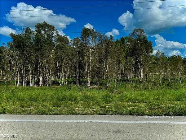 0.24 Acres of Residential Land for Sale in Lehigh Acres, Florida