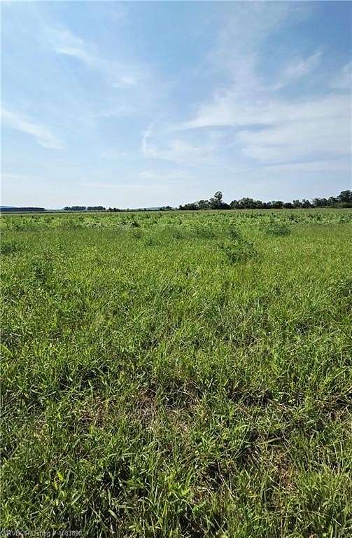25 Acres of Land for Sale in Paris, Arkansas