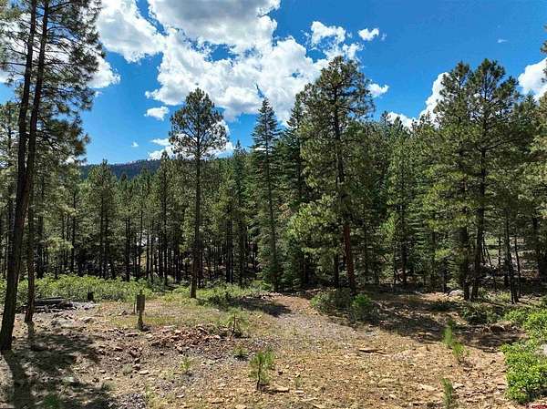 3.35 Acres of Residential Land for Sale in Bayfield, Colorado