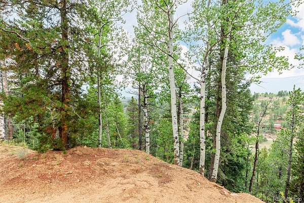 1 Acre of Residential Land for Sale in Bailey, Colorado