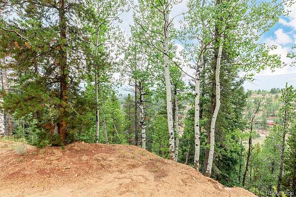 1 Acre of Residential Land for Sale in Bailey, Colorado