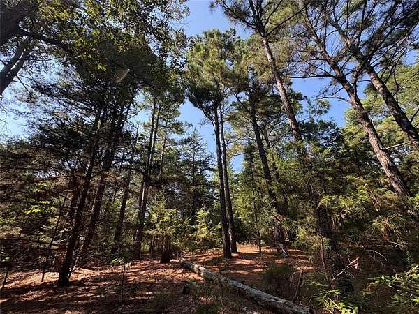 42.2 Acres of Recreational Land for Sale in Como, Texas