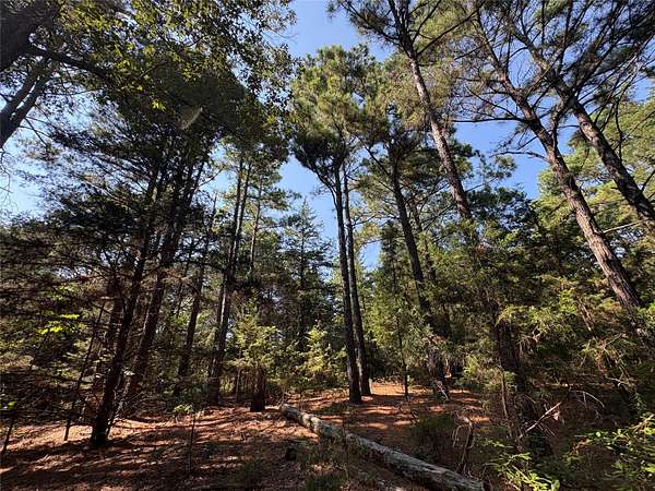 42.2 Acres of Recreational & Residential Land for Sale in Como, Texas