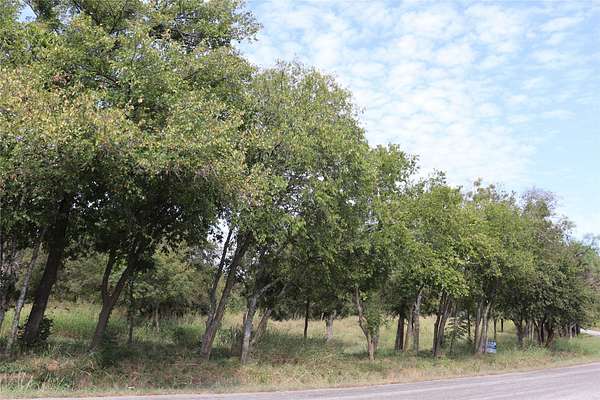 1 Acre of Land for Sale in Cleburne, Texas