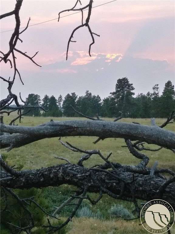 42.2 Acres of Land for Sale in Roundup, Montana