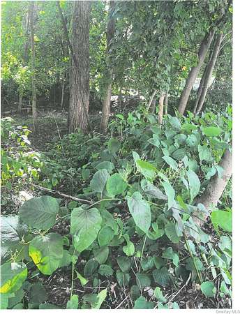 0.85 Acres of Residential Land for Sale in Cortlandt Manor, New York