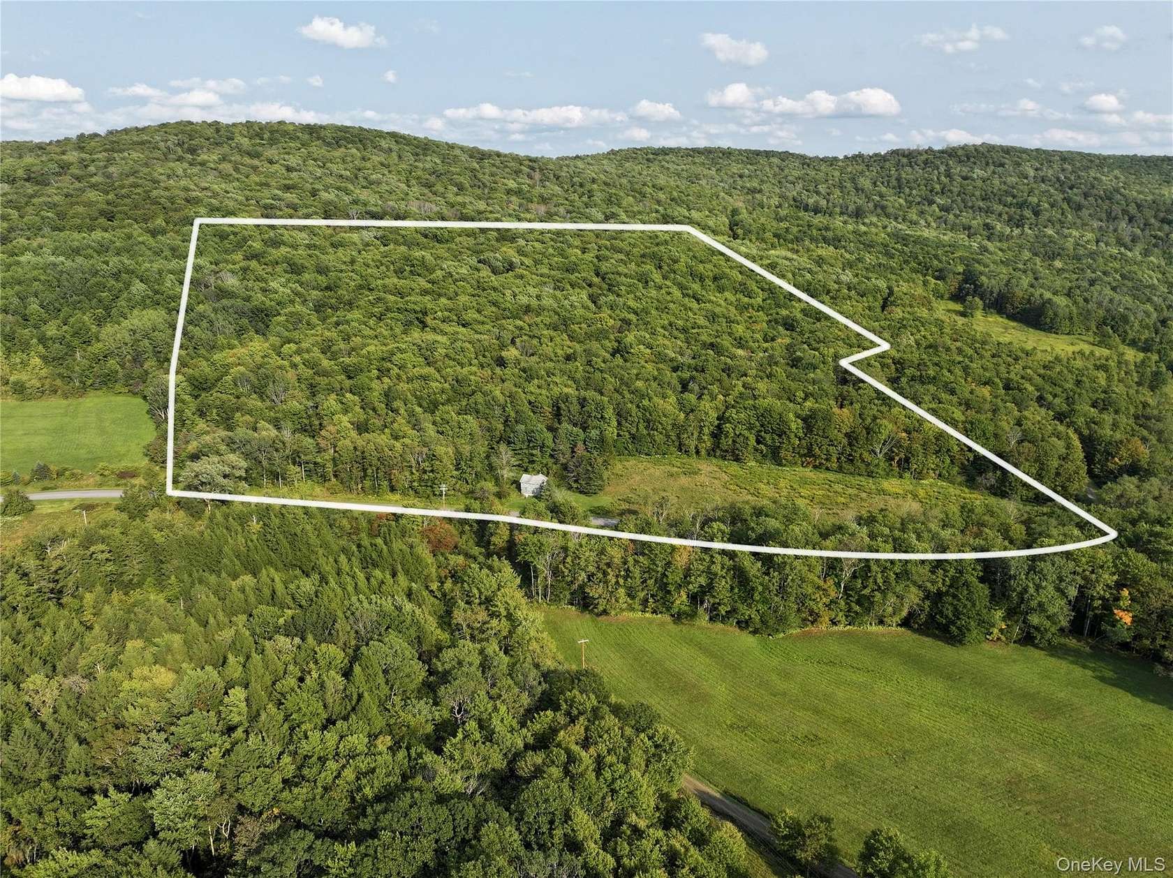 46.8 Acres of Land for Sale in Walton, New York